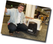 Abschied von den Hunden