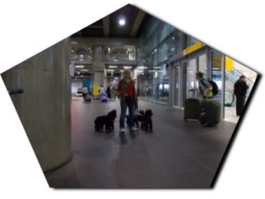 Sao Paulo Airport-Warten auf Ruben Guerreo